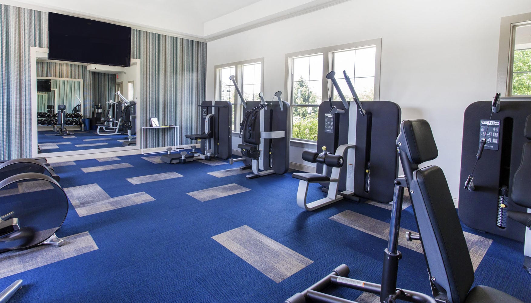 Gym interiors by Annette Jaffe in Jefferson at Westtown apartment