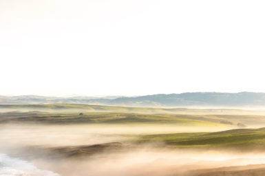 Point Reyes – Rolling Valley Of Hills by Caroline Pacula